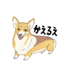 名犬きららとゆかいな仲間たち（個別スタンプ：6）
