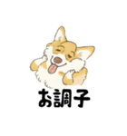 名犬きららとゆかいな仲間たち（個別スタンプ：7）