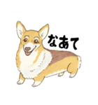 名犬きららとゆかいな仲間たち（個別スタンプ：8）