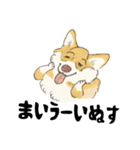 名犬きららとゆかいな仲間たち（個別スタンプ：10）