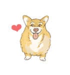 名犬きららとゆかいな仲間たち（個別スタンプ：11）