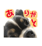 セキグチのきゅーちゃん③（個別スタンプ：23）