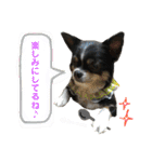 セキグチのきゅーちゃん③（個別スタンプ：34）