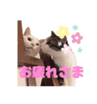 可愛いみーたんくーたんスタンプ（個別スタンプ：3）