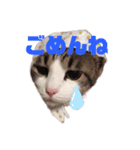 可愛いみーたんくーたんスタンプ（個別スタンプ：4）