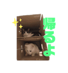 可愛いみーたんくーたんスタンプ（個別スタンプ：6）