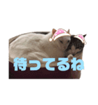 可愛いみーたんくーたんスタンプ（個別スタンプ：7）