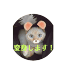 ふうたん＆ちゃたろう 2（個別スタンプ：6）