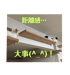 ふうたん＆ちゃたろう 2（個別スタンプ：16）