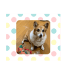 チカあゆむ（個別スタンプ：3）