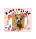 チカあゆむ（個別スタンプ：6）