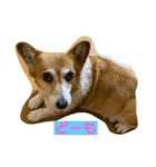 チカあゆむ（個別スタンプ：7）