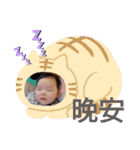 肥翔寶寶日常（個別スタンプ：22）