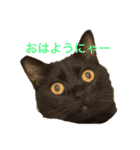 そらスタンプ(´・ω・｀)（個別スタンプ：2）