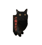 そらスタンプ(´・ω・｀)（個別スタンプ：4）
