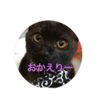 そらスタンプ(´・ω・｀)（個別スタンプ：8）