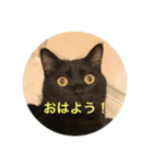 そらスタンプ(´・ω・｀)（個別スタンプ：9）