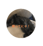そらスタンプ(´・ω・｀)（個別スタンプ：12）