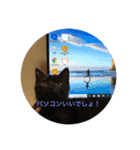 そらスタンプ(´・ω・｀)（個別スタンプ：14）
