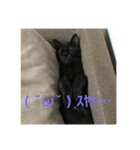 そらスタンプ(´・ω・｀)（個別スタンプ：15）