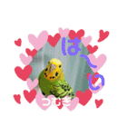 インコワンコでウッキウキ（個別スタンプ：12）
