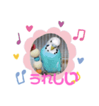インコワンコでウッキウキ（個別スタンプ：18）