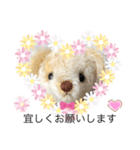 ハンドメイドくまちゃん通年使える敬語（個別スタンプ：5）