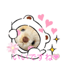 ハンドメイドくまちゃん通年使える敬語（個別スタンプ：7）