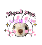 ハンドメイドくまちゃん通年使える敬語（個別スタンプ：10）