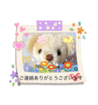 ハンドメイドくまちゃん通年使える敬語（個別スタンプ：11）