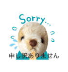 ハンドメイドくまちゃん通年使える敬語（個別スタンプ：14）