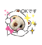 ハンドメイドくまちゃん通年使える敬語（個別スタンプ：18）