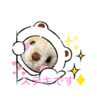ハンドメイドくまちゃん通年使える敬語（個別スタンプ：19）