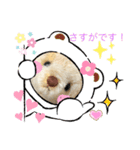 ハンドメイドくまちゃん通年使える敬語（個別スタンプ：21）