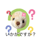 ハンドメイドくまちゃん通年使える敬語（個別スタンプ：27）