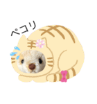 ハンドメイドくまちゃん通年使える敬語（個別スタンプ：28）