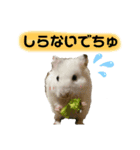 ごまくんすたんぷ②（個別スタンプ：1）