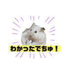 ごまくんすたんぷ②（個別スタンプ：3）