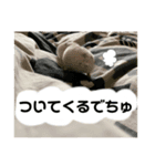 ごまくんすたんぷ②（個別スタンプ：4）