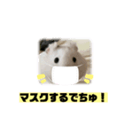 ごまくんすたんぷ②（個別スタンプ：5）