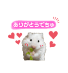 ごまくんすたんぷ②（個別スタンプ：8）
