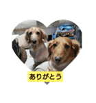 家族と友達の連絡（個別スタンプ：3）