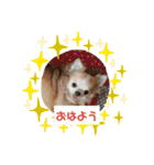 家族と友達の連絡（個別スタンプ：11）
