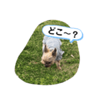 りっちゃんとスタンプ（個別スタンプ：1）