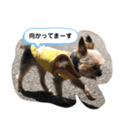 りっちゃんとスタンプ（個別スタンプ：3）