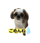 みんなの快くん8（個別スタンプ：1）