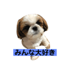 みんなの快くん8（個別スタンプ：3）