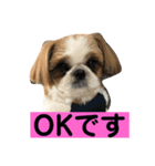 みんなの快くん8（個別スタンプ：4）