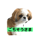 みんなの快くん8（個別スタンプ：7）