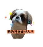 みんなの快くん8（個別スタンプ：8）